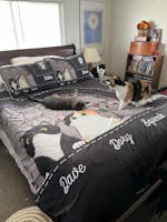 Cat Personalized Bedding Set, Personalized Gift for Cat Lovers, Cat Dad, Cat Mom - BD145PS05