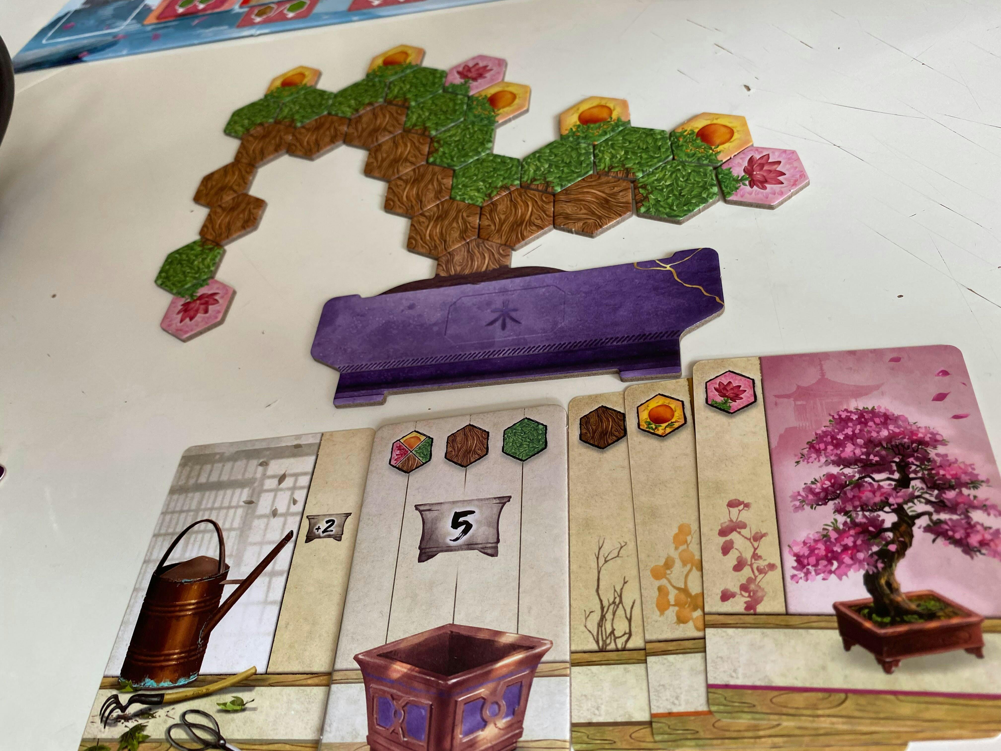 Bonsai Board Game Bliss 1696520988 Img 5200 Original 