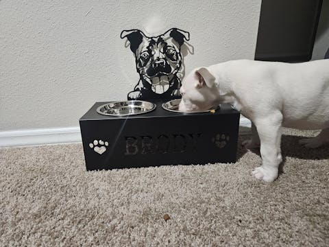 Pitbull Personalized Name Pet Food Bowl Holder