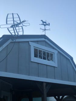 Beagle Stainless Steel Weathervane