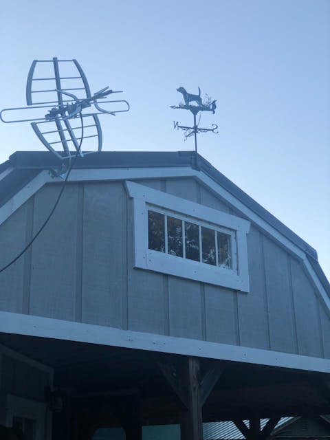 Beagle Stainless Steel Weathervane