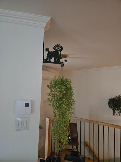 Shih Tzu Metal Hanging Bracket Plant Stand