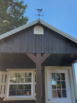 Dachshund Stainless Steel Weathervane