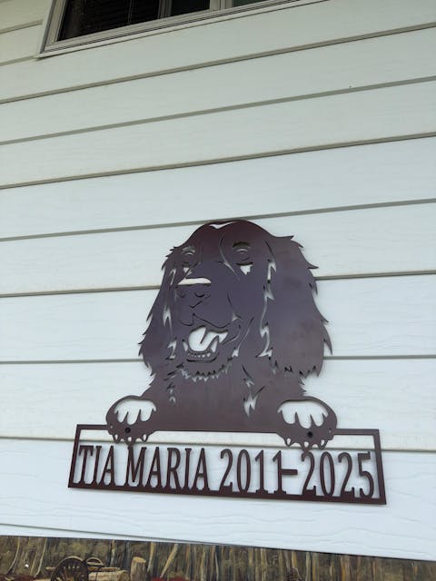 Irish Setter Dog Metal Art Personalized Metal Name Sign