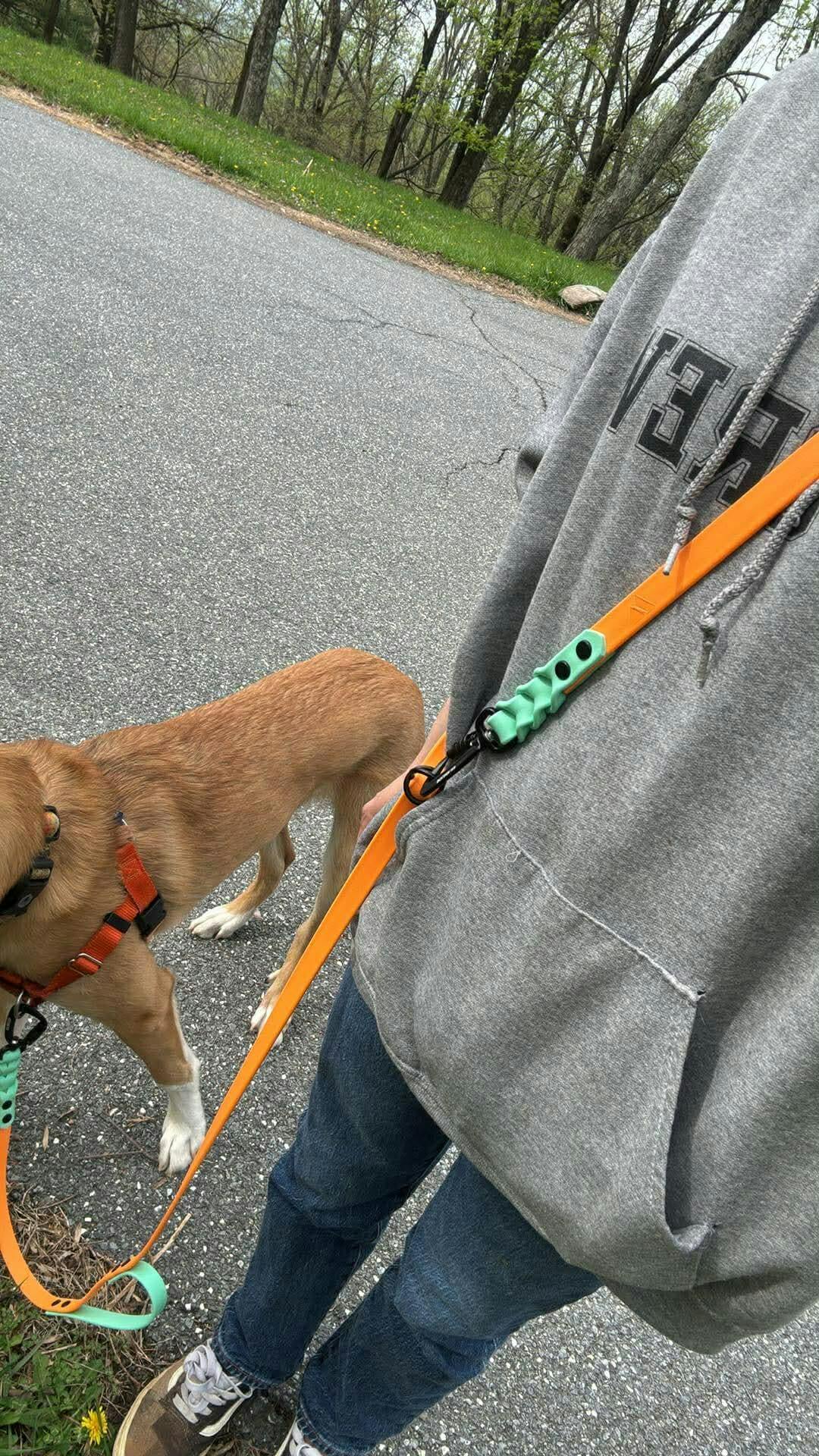 Atlas Customizable BioThane Dog Leash - Style & Durability