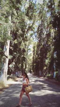 Hande S.