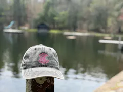 Review picture