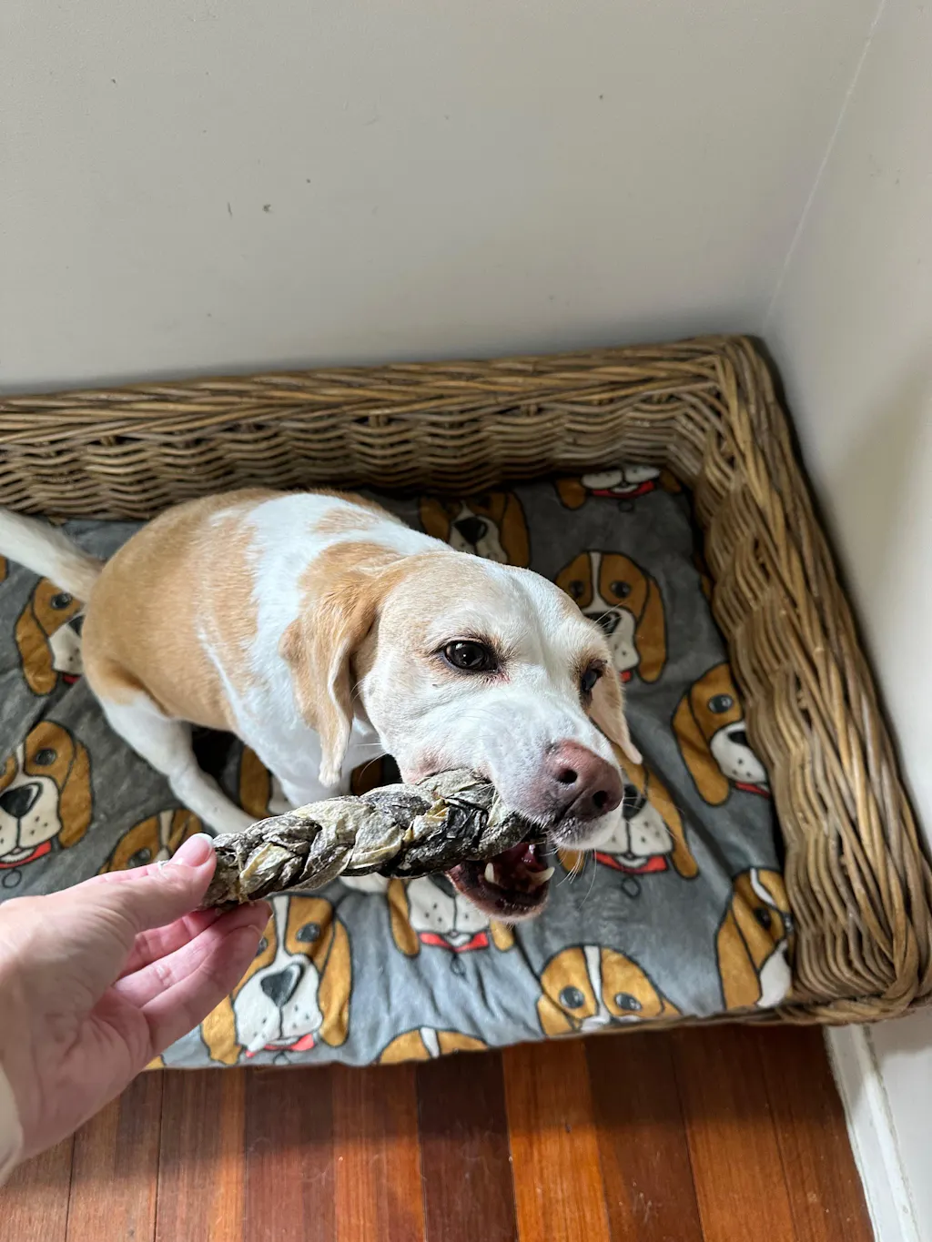 Mackerel Skin - Braided