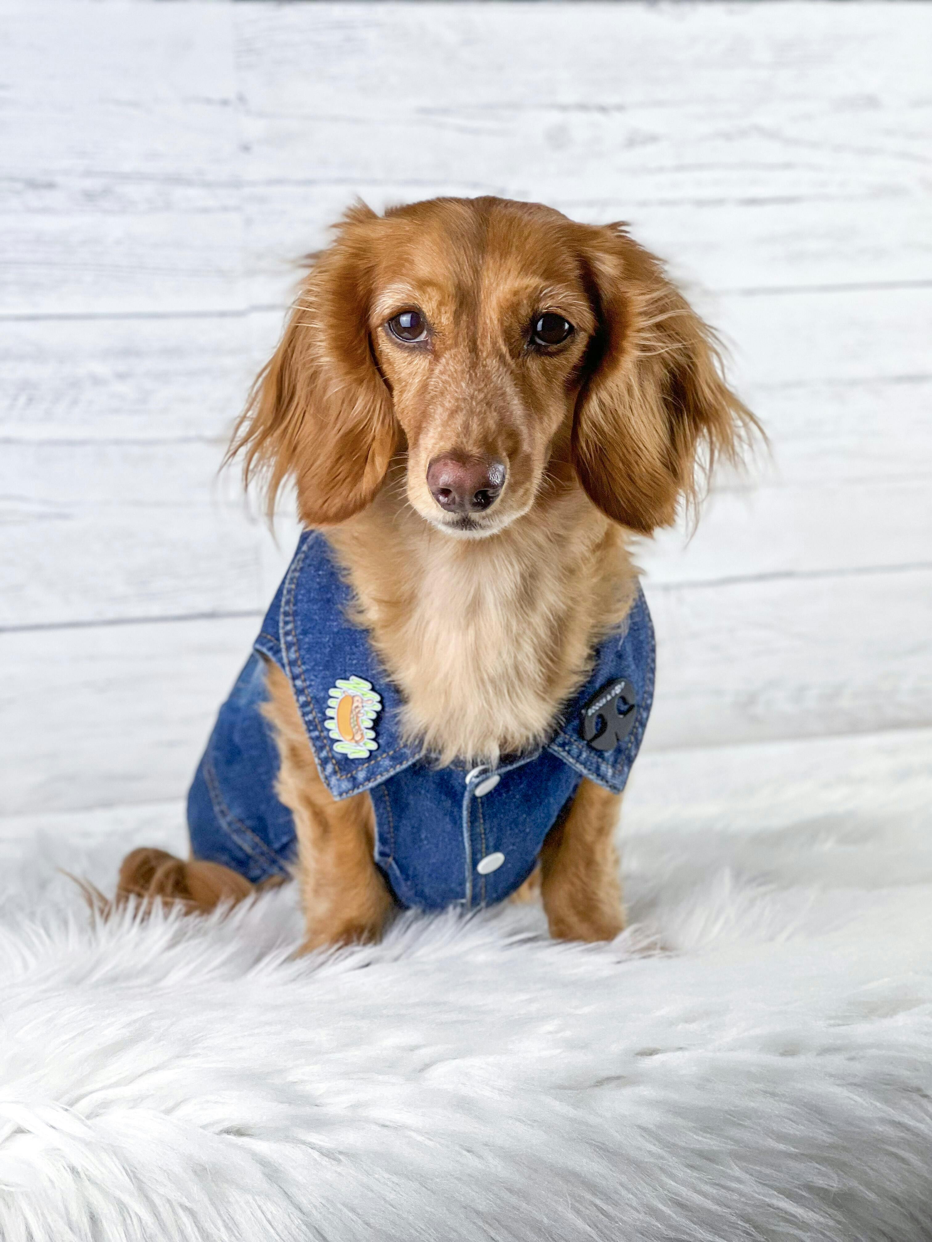 Pin on Dog Apparel & Accessories