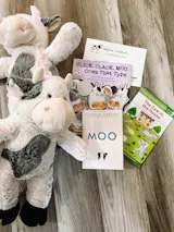 Book and Bear 3-Month Reading Adventure (Bitty Animal & Chapter Books)