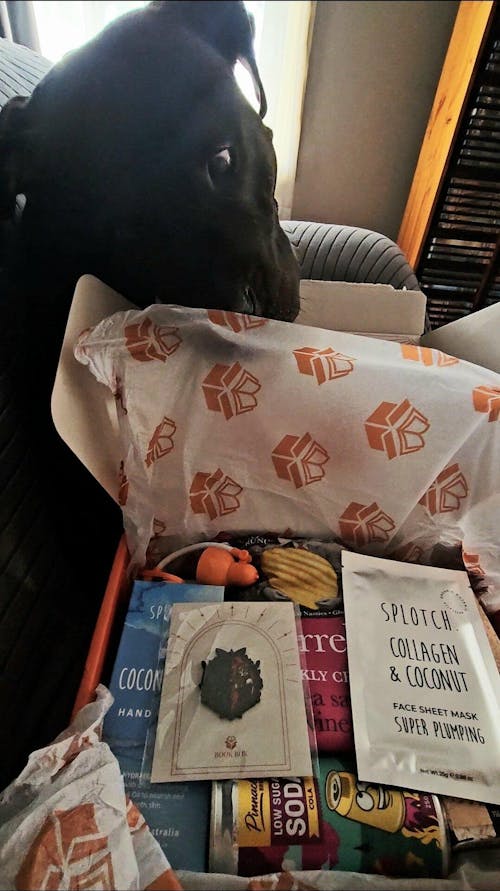 Book Box