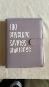 100 Envelope Challenge Budget Planner!