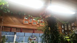 LED Grow Light Full Spectrum