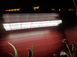 LED Grow Light Full Spectrum