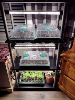 LED Grow Light Full Spectrum