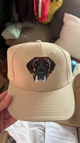 User picture