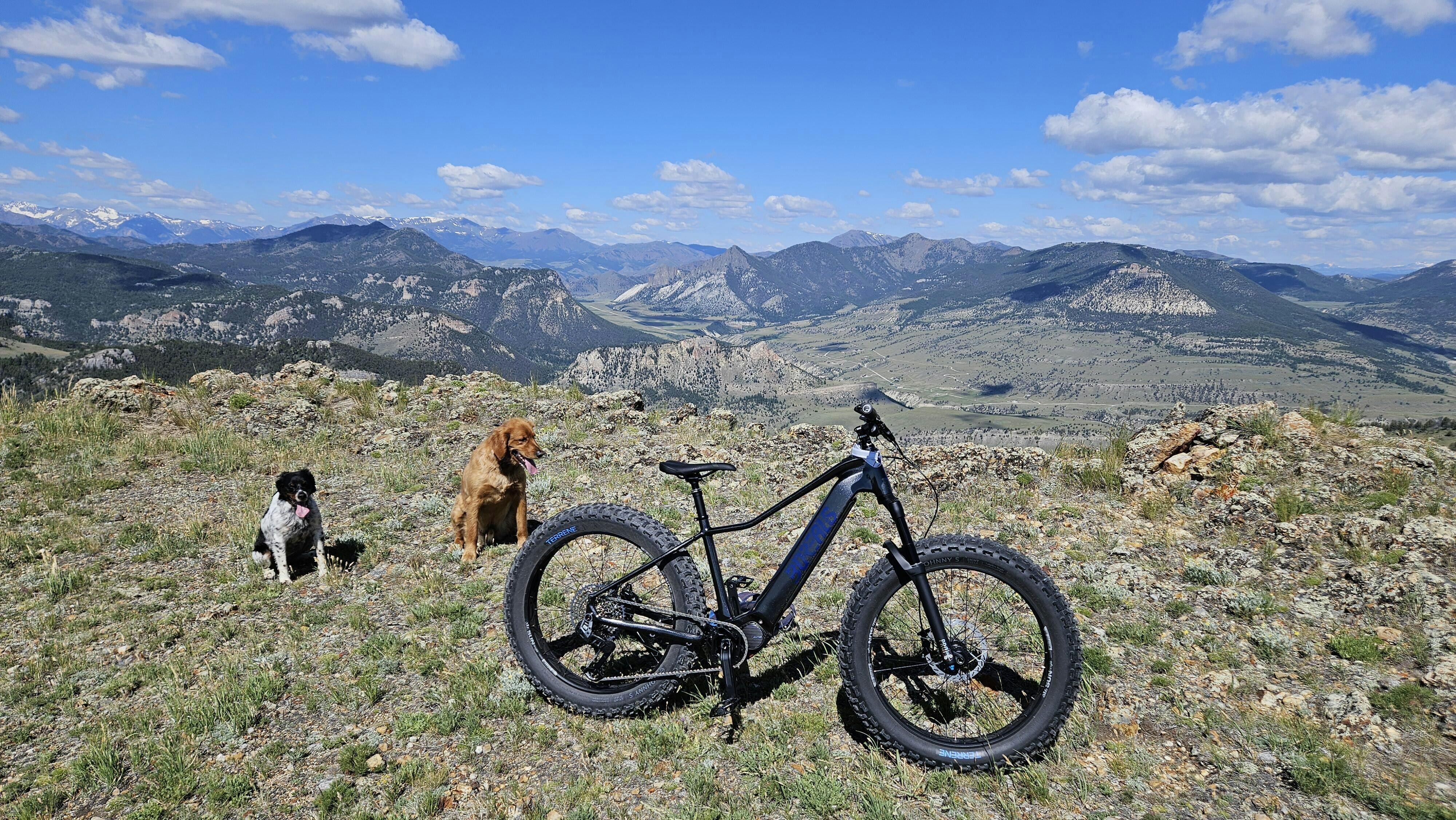 ELECTRIC FAT TIRE E-BIKE | Redefine Your Cycling Experience – Borealis ...