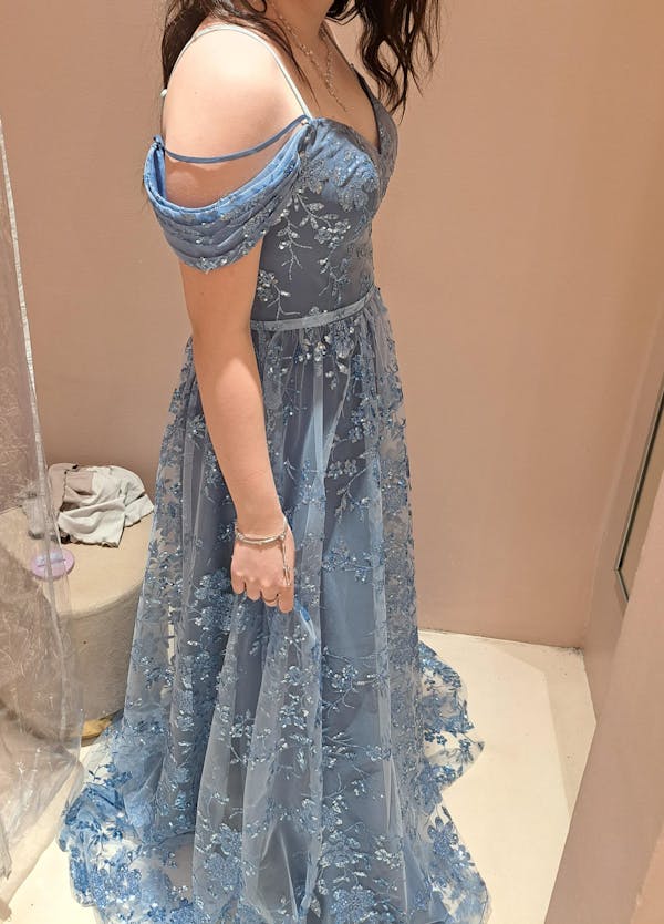 Alienor Blue Grey | Glittery Off the Shoulder Mesh Maxi Dress