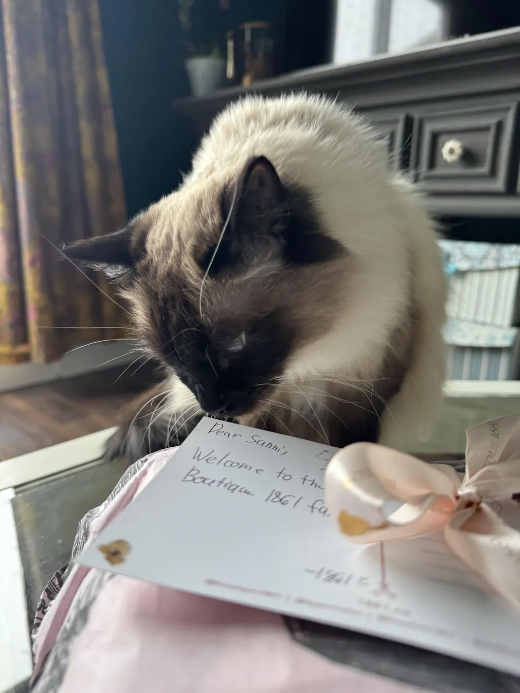 Chisapani | Blue Denim Mini Dress with Bow Pattern