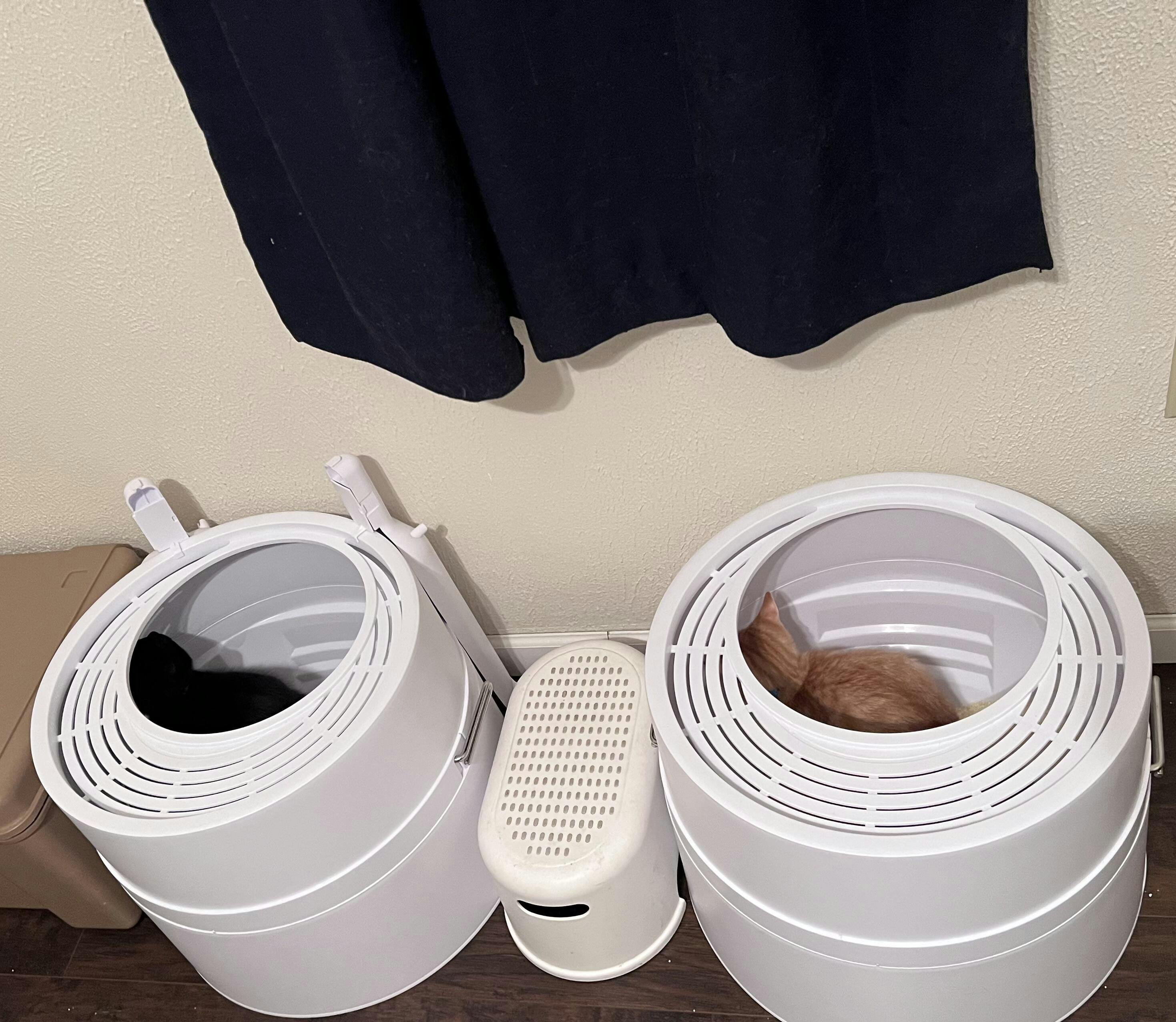 Boxscoop 2.0 The 6second Cat Litter Box Boxscoop Designs Inc.