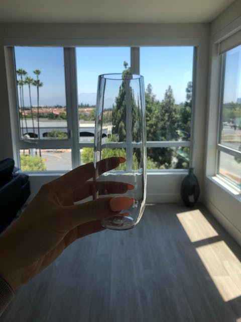 Unbreakable Champagne Flutes