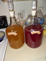 Glass Gallon Jugs  Brewsy