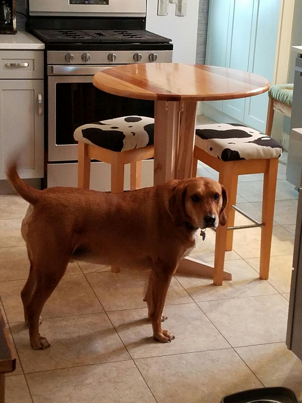 Field of Greens Superfood BrickHouse Nutrition