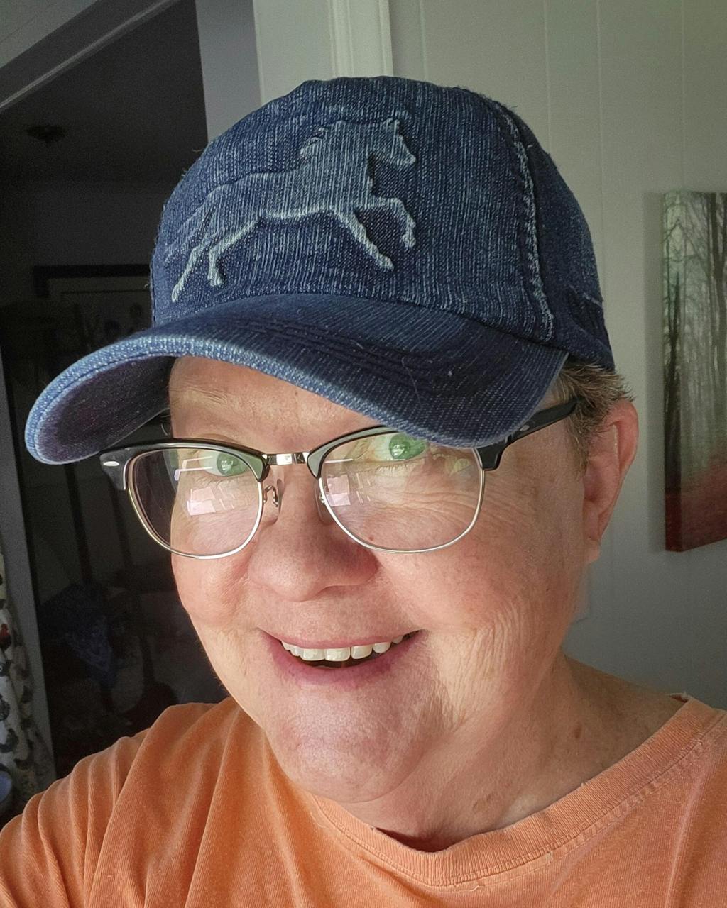 Vintage Denim Horse Hat