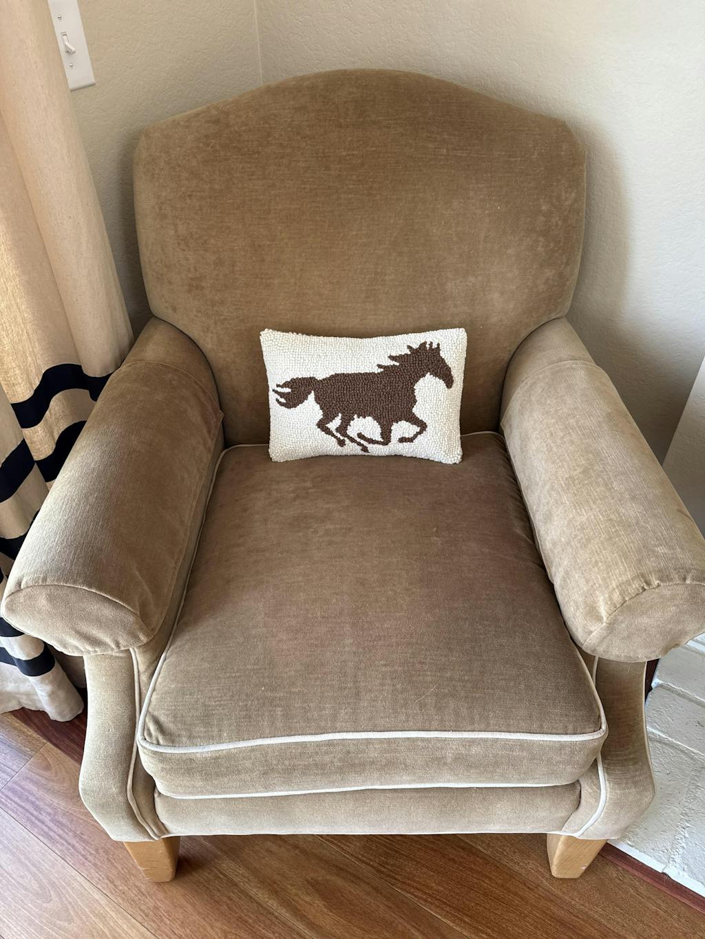 Wild Horse Gallop Hook Pillow