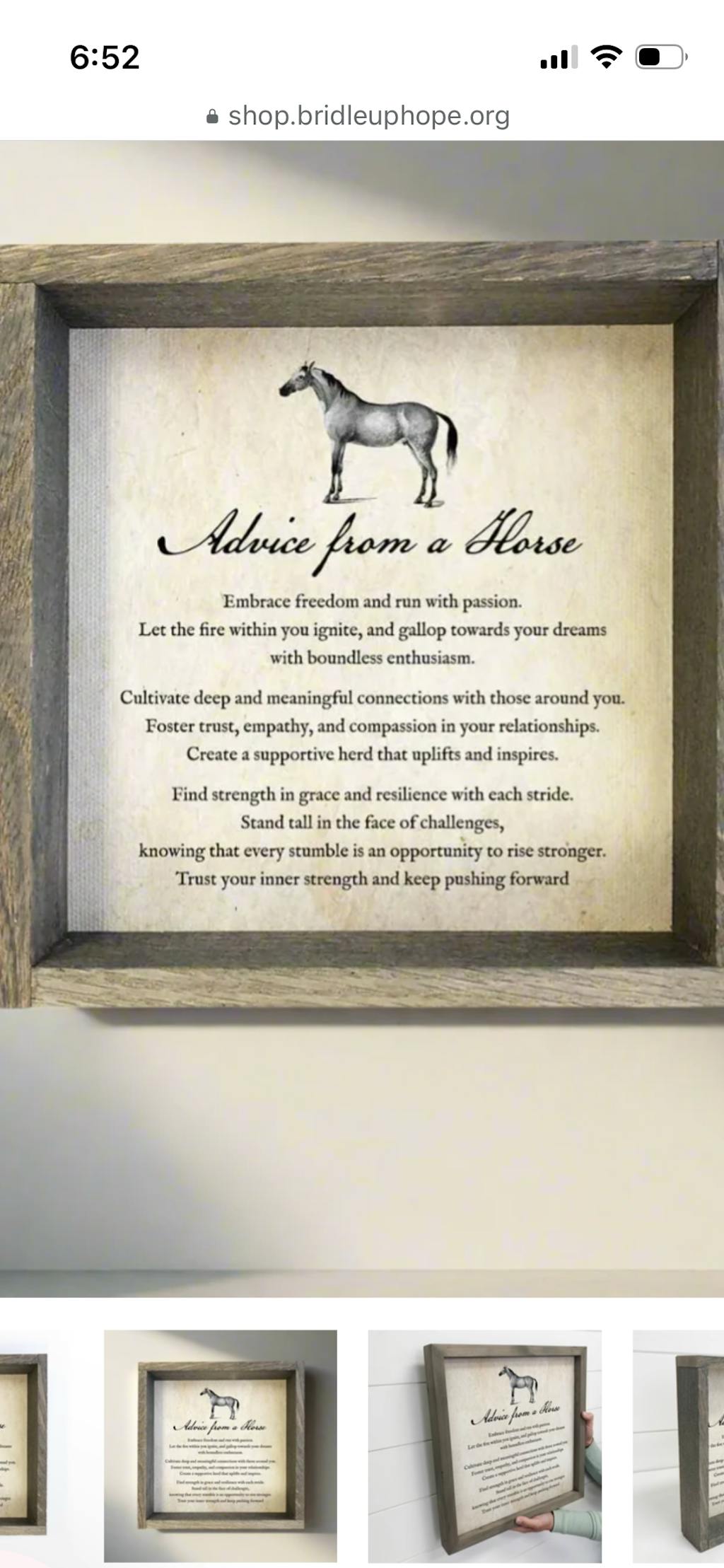 Advice From a Horse Art