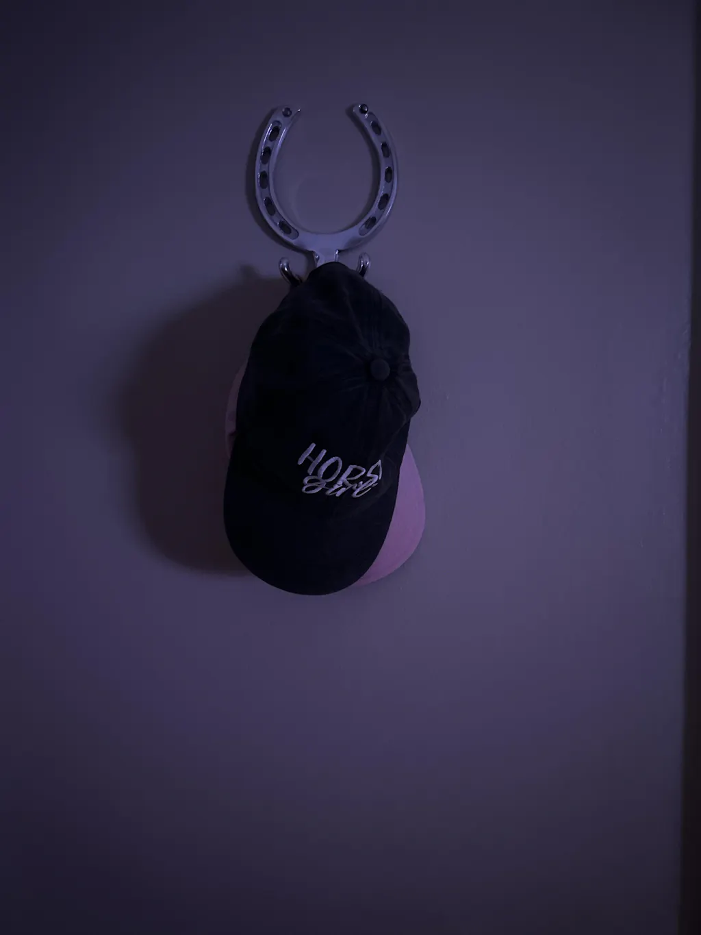 Silver Horseshoe Wall Hook