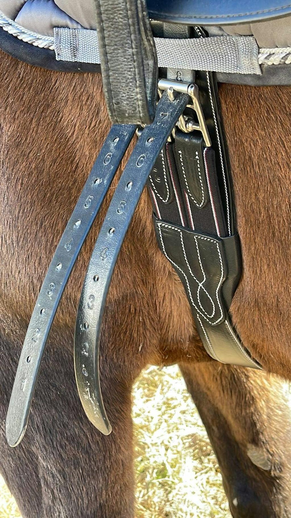 ExioPro Anatomic Joint Dressage Girth Dressage Girth for Horses