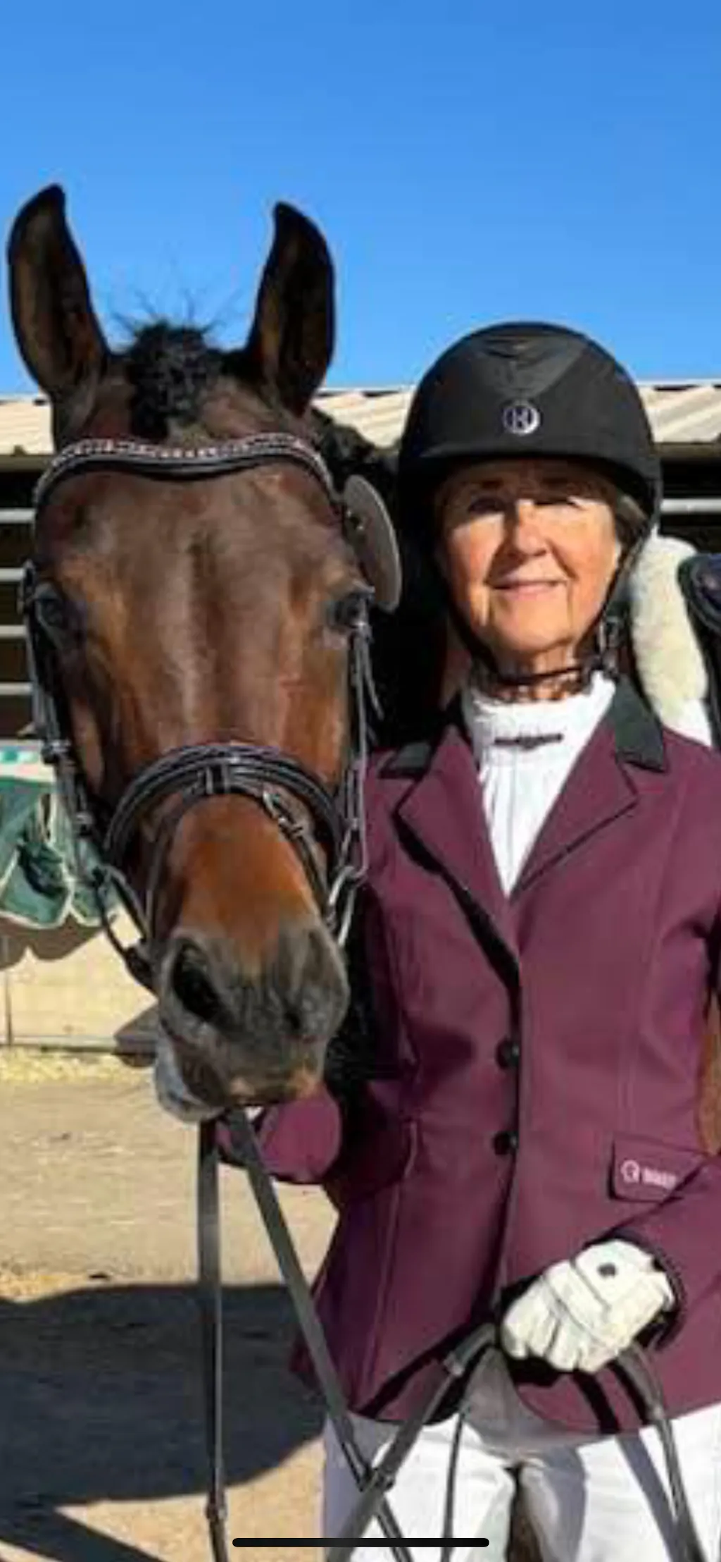 Mono Crown Piece Fancy Horse English Bridle - Bridle and Reins