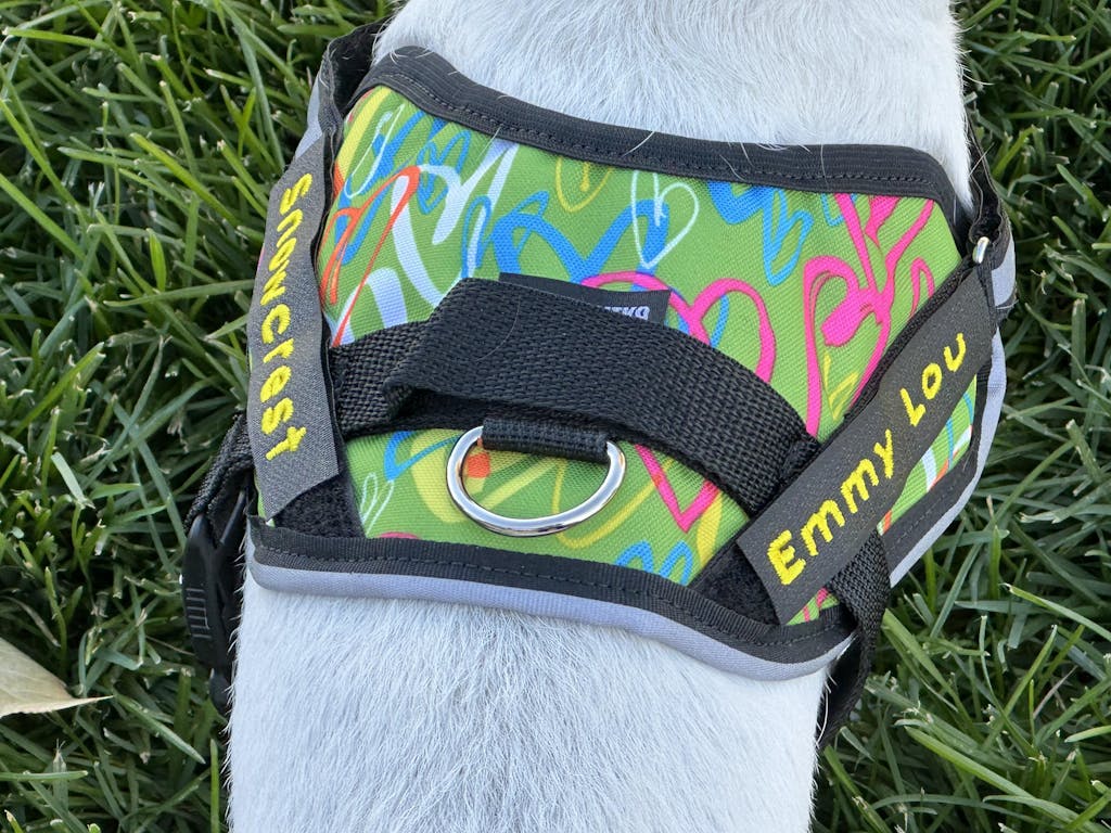 Small Breed Dog Harness 1520" Walking Harness for Long Body Dogs