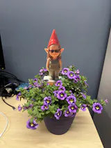 User picture