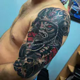 User picture