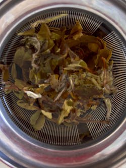 First Bloom - Darjeeling First Flush Reserve