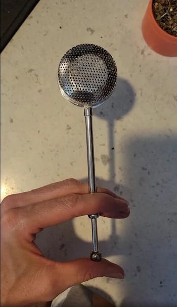 Silver Plated Infuser