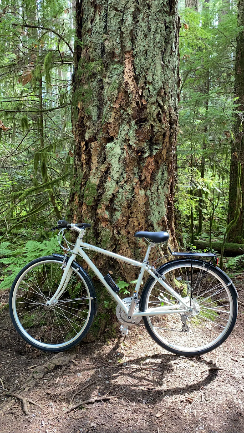 Warehouse Deal: Lorimer Hybrid Bicycle