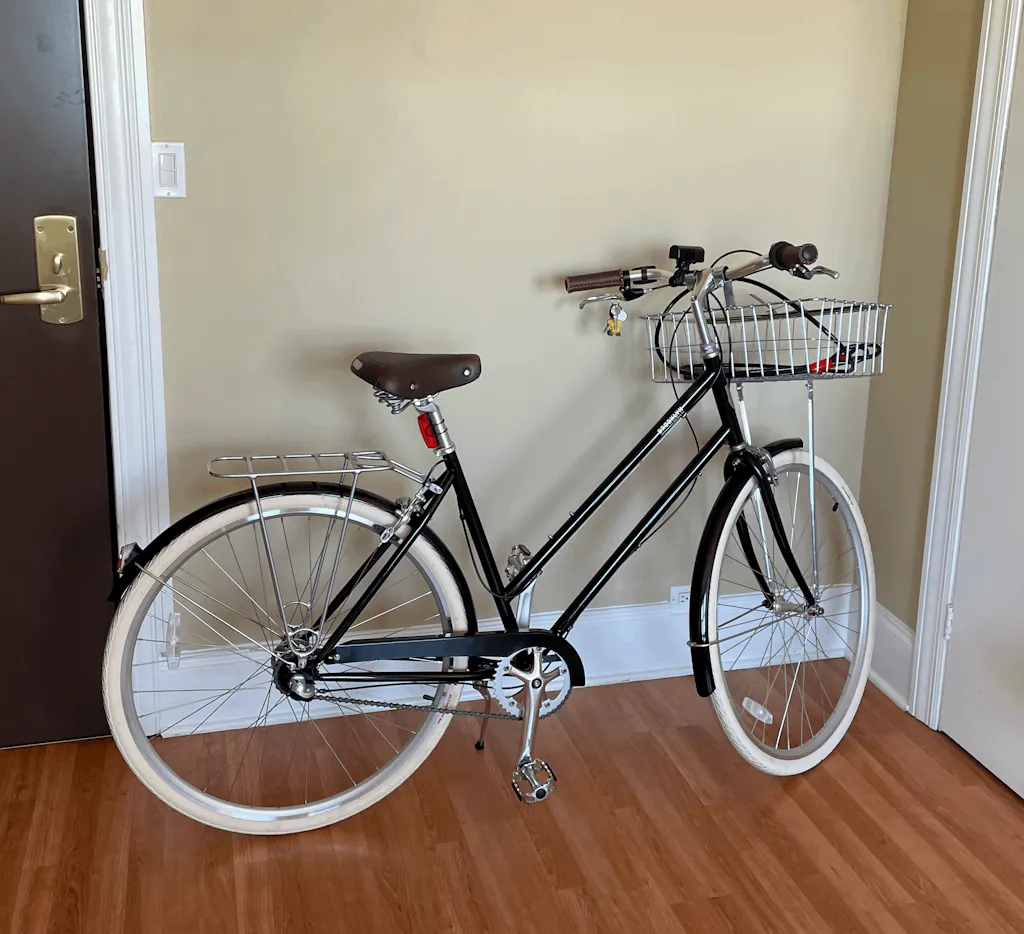 Willow 8 | Dutch Style Step-Through Cruiser Bike