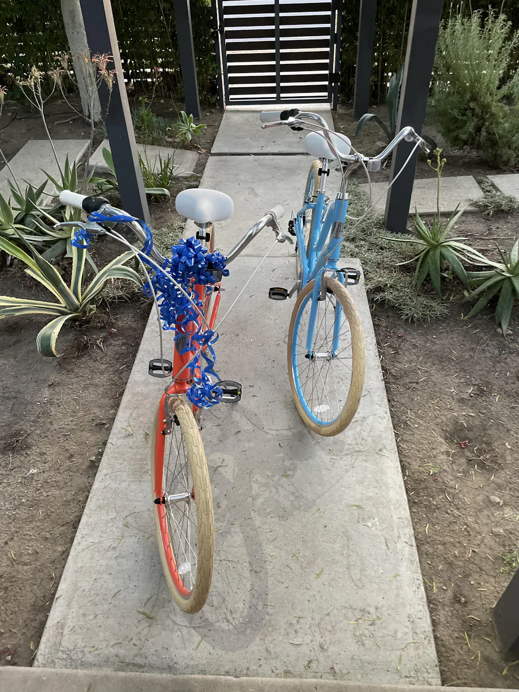 brooklyn cruiser bicycle