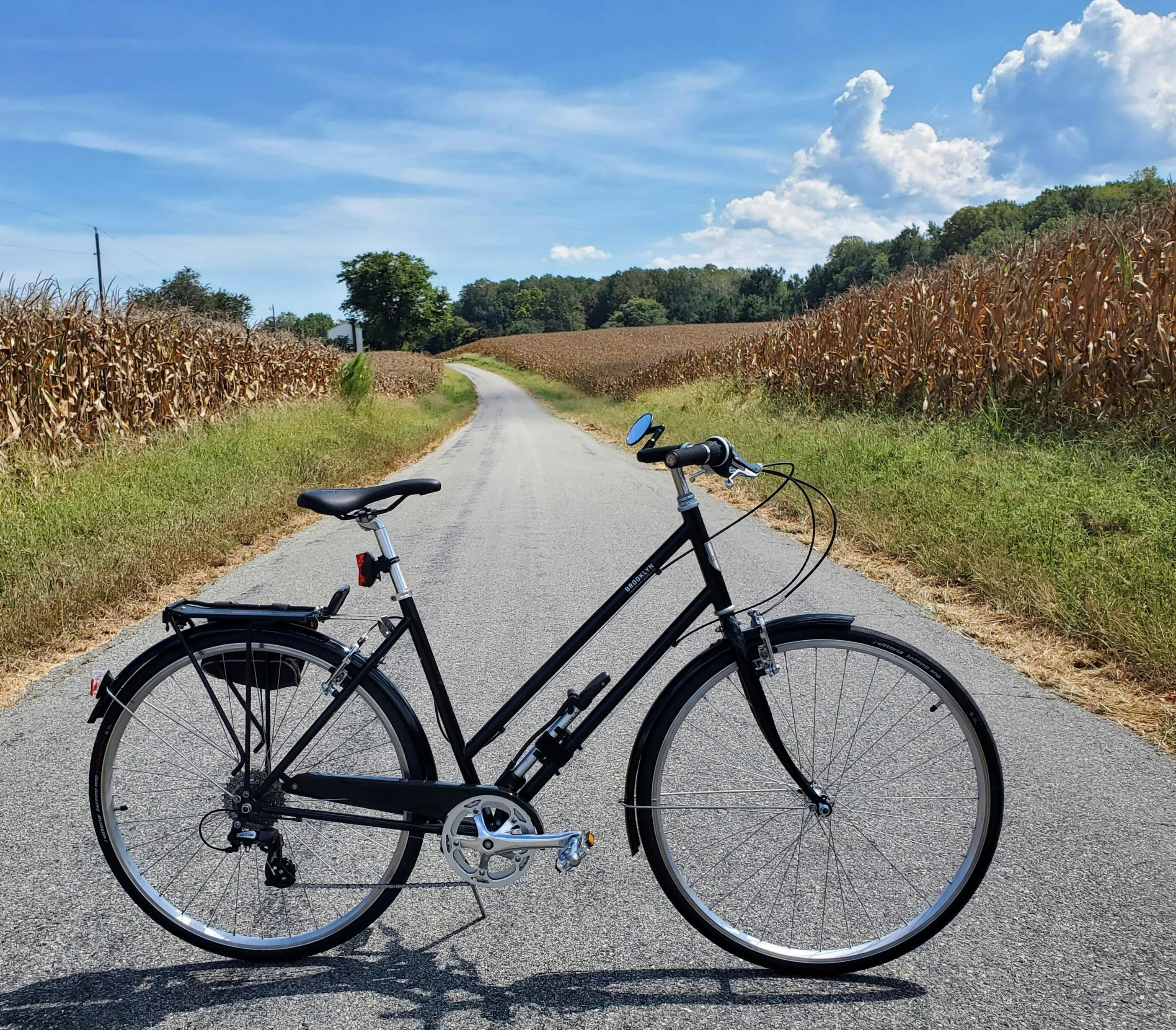 Craigslist brooklyn bicycles hot sale