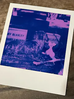 Customer photo
