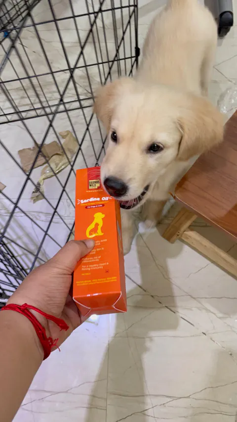 Mother & Puppy Starter