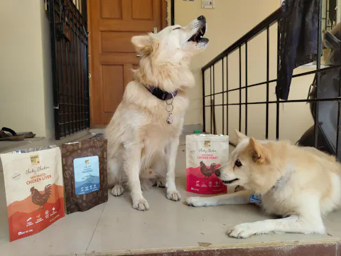 Dehydrated Chicken Liver