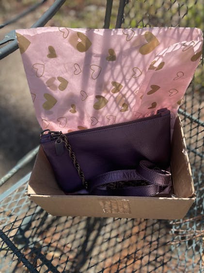 Metallic Leather Bag in Purple - Cher Mini Crosssbody