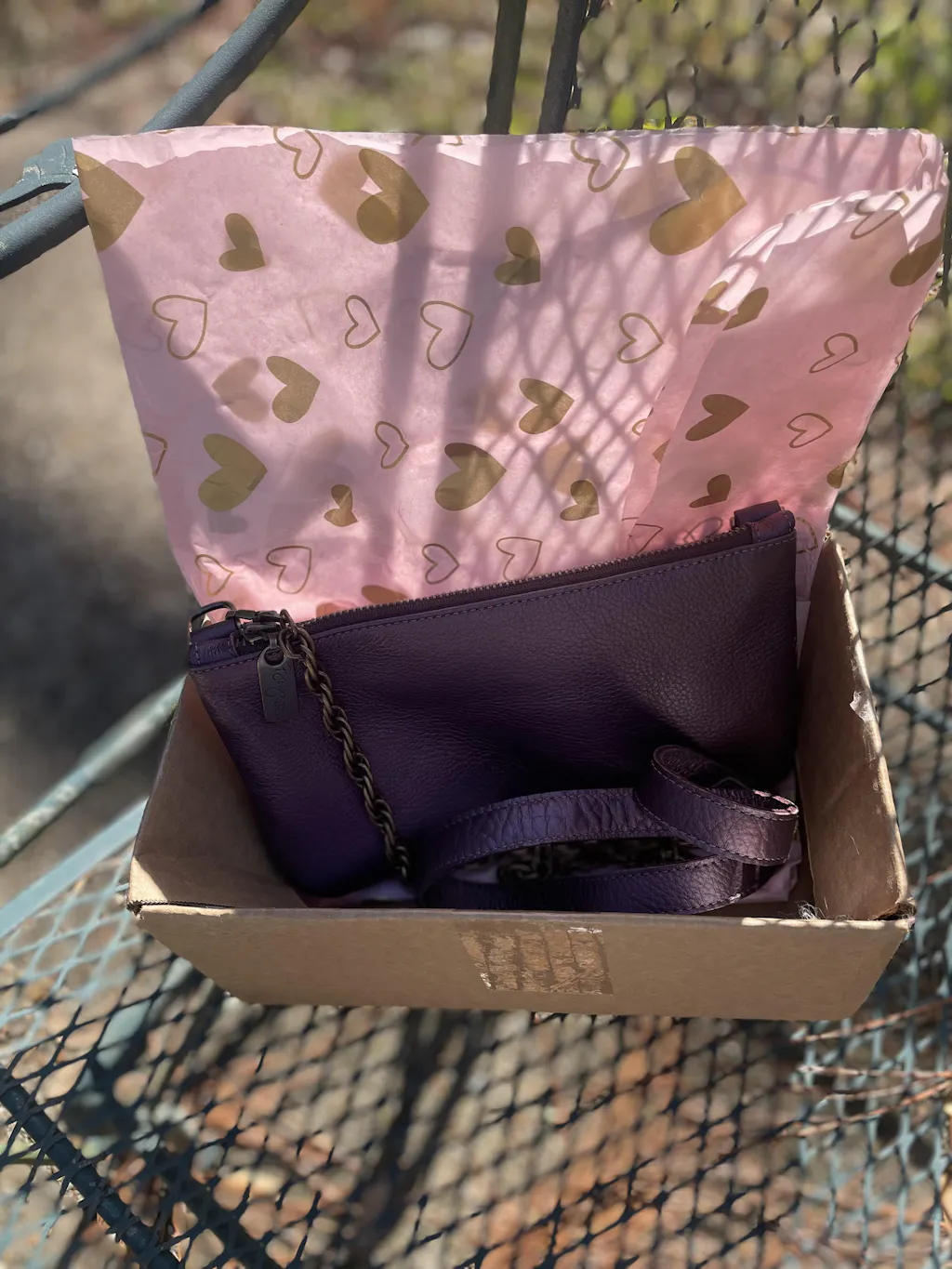 Metallic Leather Bag in Champagne - Cher Mini Crossbody