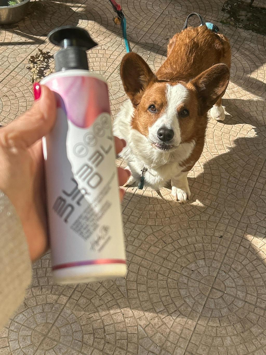 BubblyPro Professzionális Leave-in Balzsam