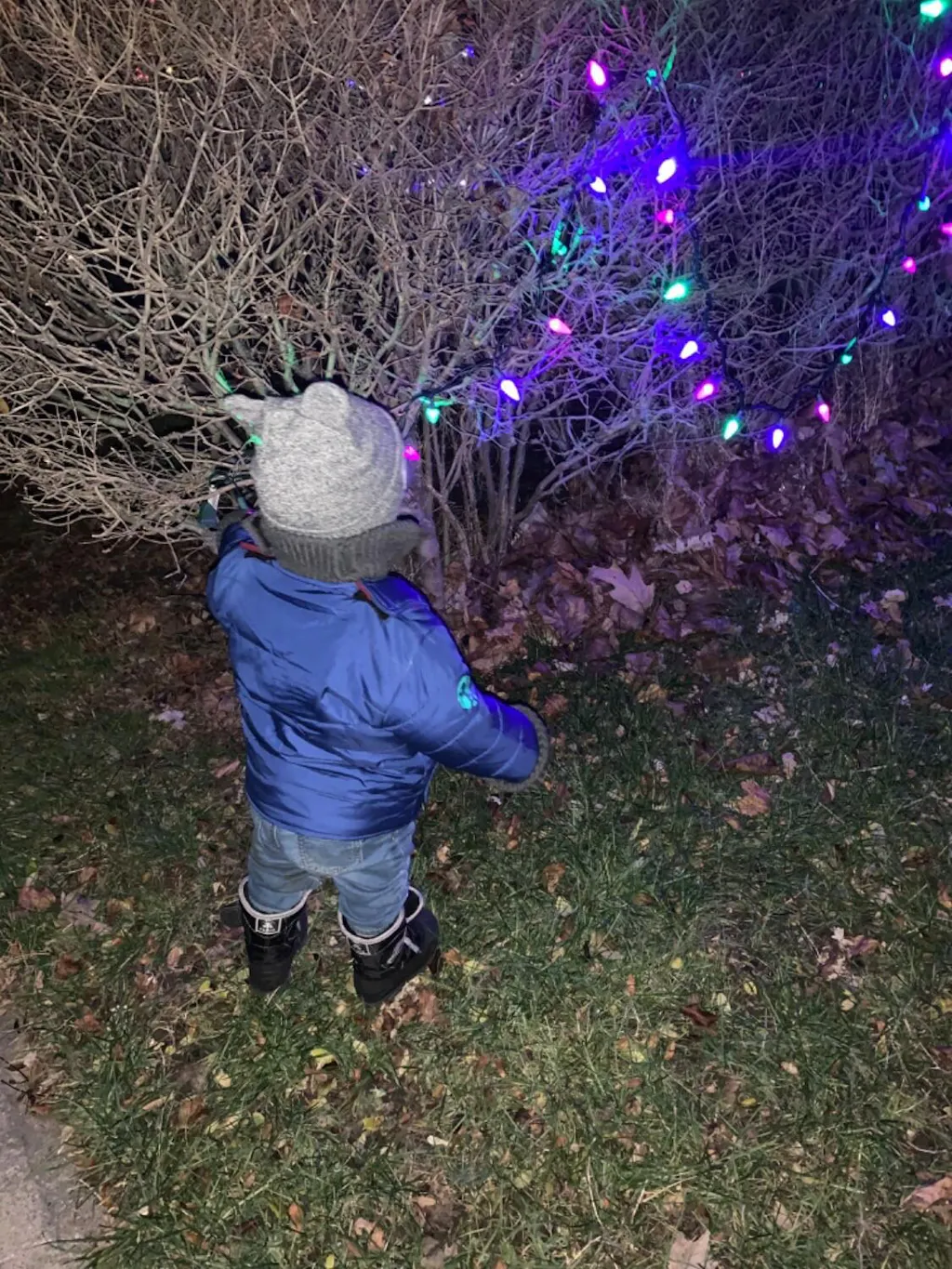 Last Chance Genius Jams – Buckle Me Baby