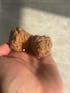 Toad Head Walnuts